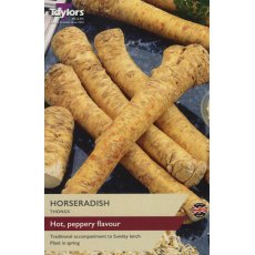 HORSERADISH