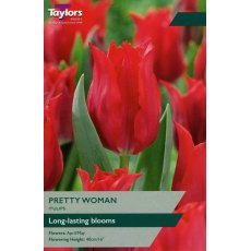TAYLORS Tulip Pretty Woman