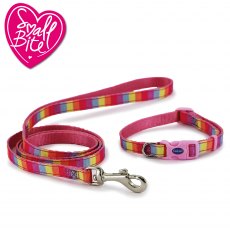 ANCOL Small Bite Rainbow Collar Lead Set Pink