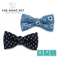 Daisy/Polka Patterned Bow Tie