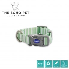 ANCOL Soho Stripe Collar S