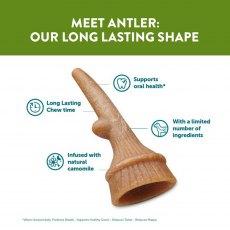 WHIMZEES Antler   Medium WHIMZEES Antler   Medium