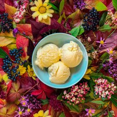 MARSHFIELD FARM PLANT BASED Vanilla