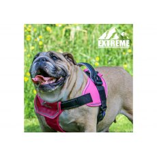 ANCOL Extreme Harness Pink M