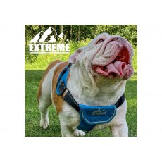 ANCOL Extreme Harness Blue M