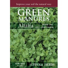 Alfalfa (Pack for 40sq.m)