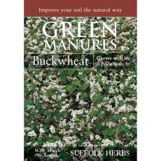 Buckwheat