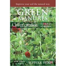 Crimson Clover