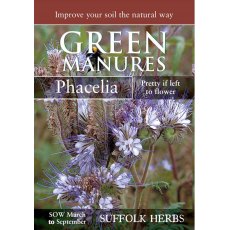 Phacelia