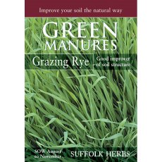 Grazing Rye (Pack for 6 sq.m)