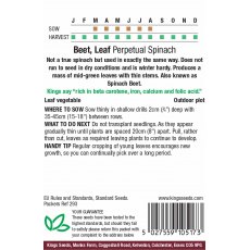 Beet Perpetual Spinach
