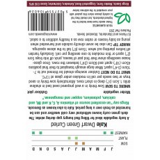 Borecole Dwarf Green Curled