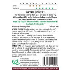 Carrot Flyaway F1 Hybrid