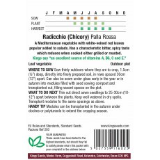 Radicchio (Chicory)  Palla Rossa