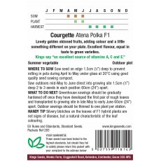 Courgette Atena Polka