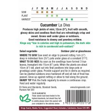 Cucumber La Diva