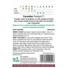 Cucumber Femspot F1
