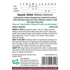 Squash Winter Butternut Waltham Butternut
