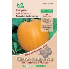 Gourd Jack O Lantern