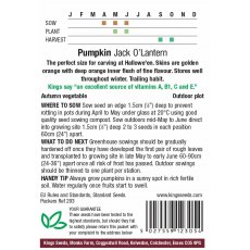 Gourd Jack O Lantern