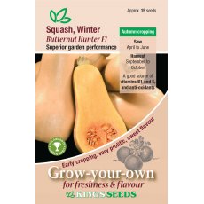 Squash Winter Butternut Hunter F1