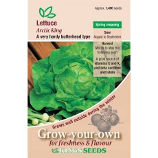 Lettuce Arctic King