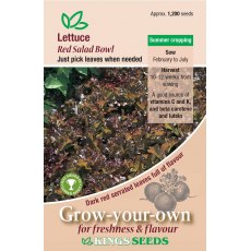 Lettuce Red Salad Bowl