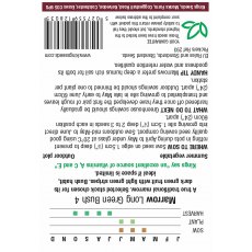 Marrow Long Green Bush 4