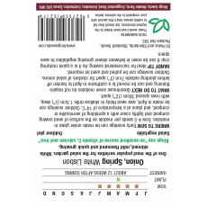 Onion White Lisbon (Spring)