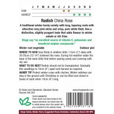 Radish China Rose