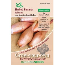 Shallot Zebrune
