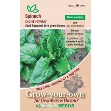Spinach Giant Winter