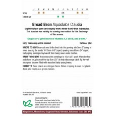 Broad Bean Aquadulce Claudia