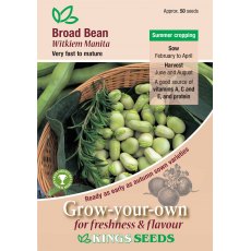 Broad Bean Witkiem Manita