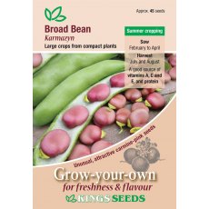 Broad Bean Karmazyn