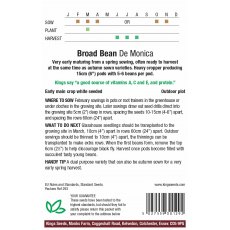 Broad Bean De Monica