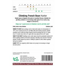 Climbing French Bean Hunter