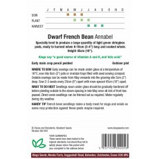 Dwarf French Bean Annabel
