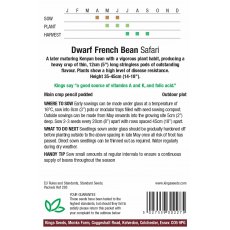 Dwarf French Bean Safari