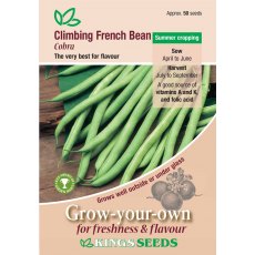 Climbing French Bean  Cobra