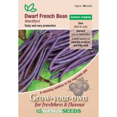 Dwarf French Bean Amethyst