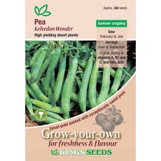 Pea Kelvedon Wonder