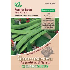 Runner Bean Painted Lady