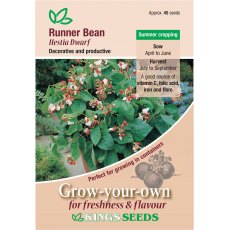 Runner Bean Hestia Dwarf