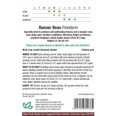 Runner Bean Firestorm