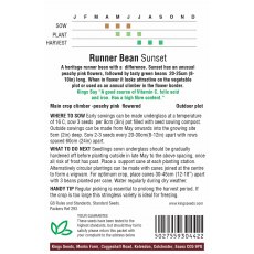 Runner Bean Sunset