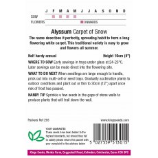 Alyssum Carpet Of Snow