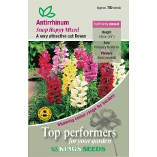 Antirrhinum Snap Happy Mixed