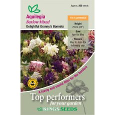 Aquilegia Barlow Mixed