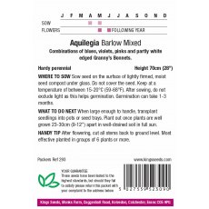 Aquilegia Barlow Mixed